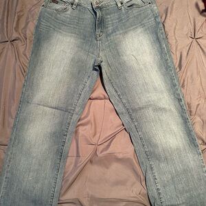 L.L. Bean Straight-Leg Jeans in Light Blue Wash